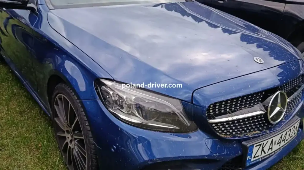 سائق عربي في بولندا